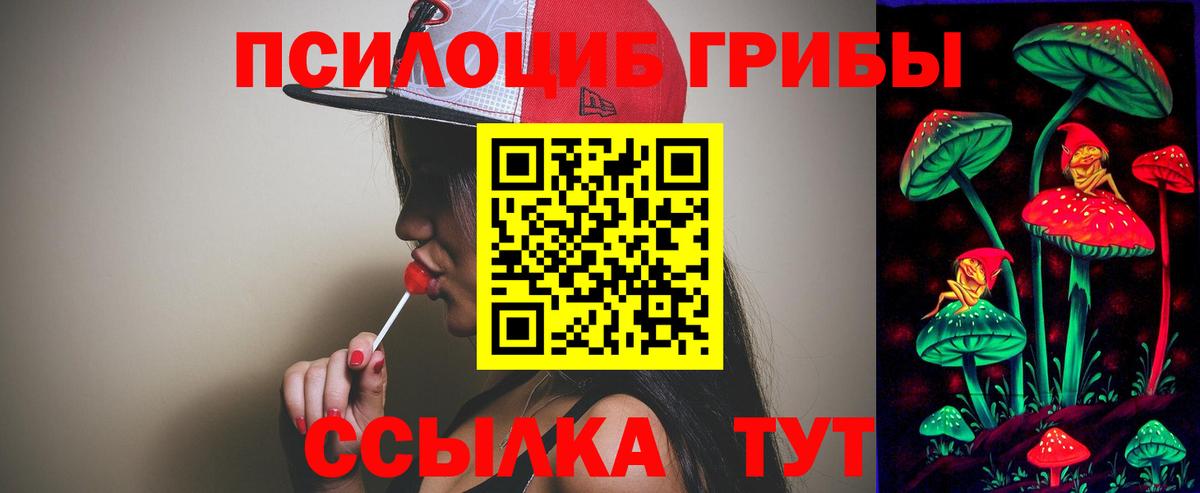 где купить наркотик  Псилоцибиновые грибы MAGIC MUSHROOMS  Вход с VPN  Ефремов 